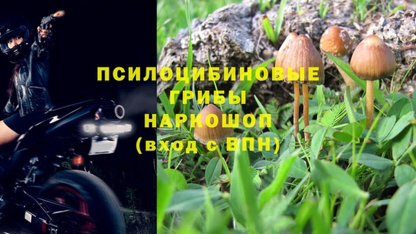 jwh Абаза